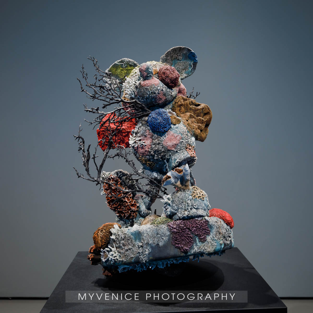 Myvenicephotography27