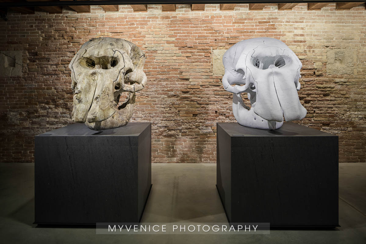 Myvenicephotography40