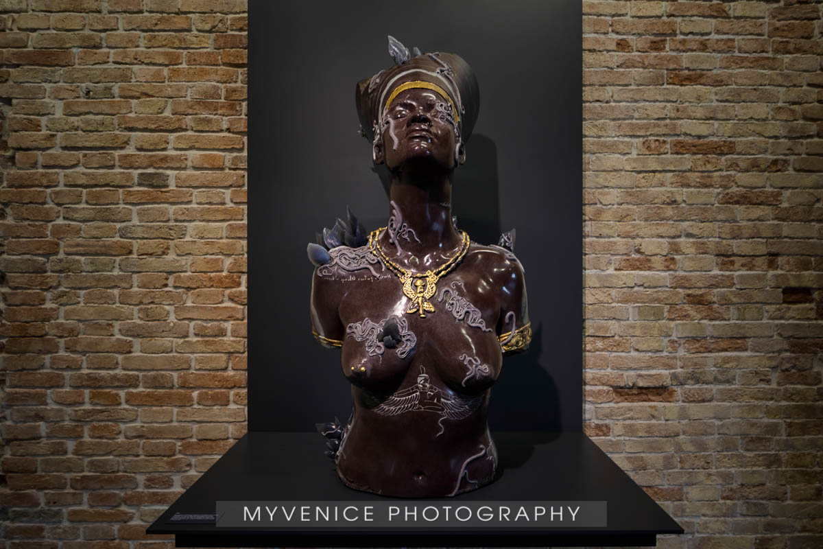 Myvenicephotography41