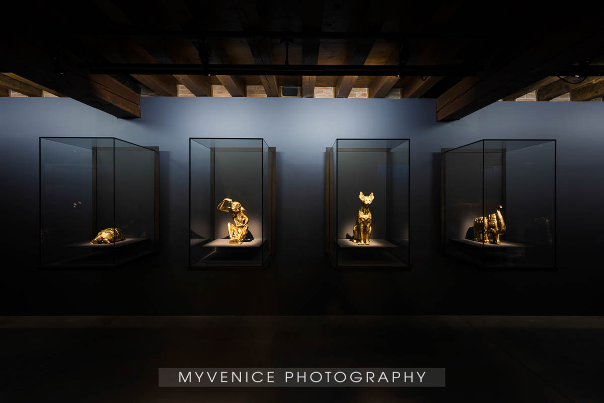 Myvenicephotography47