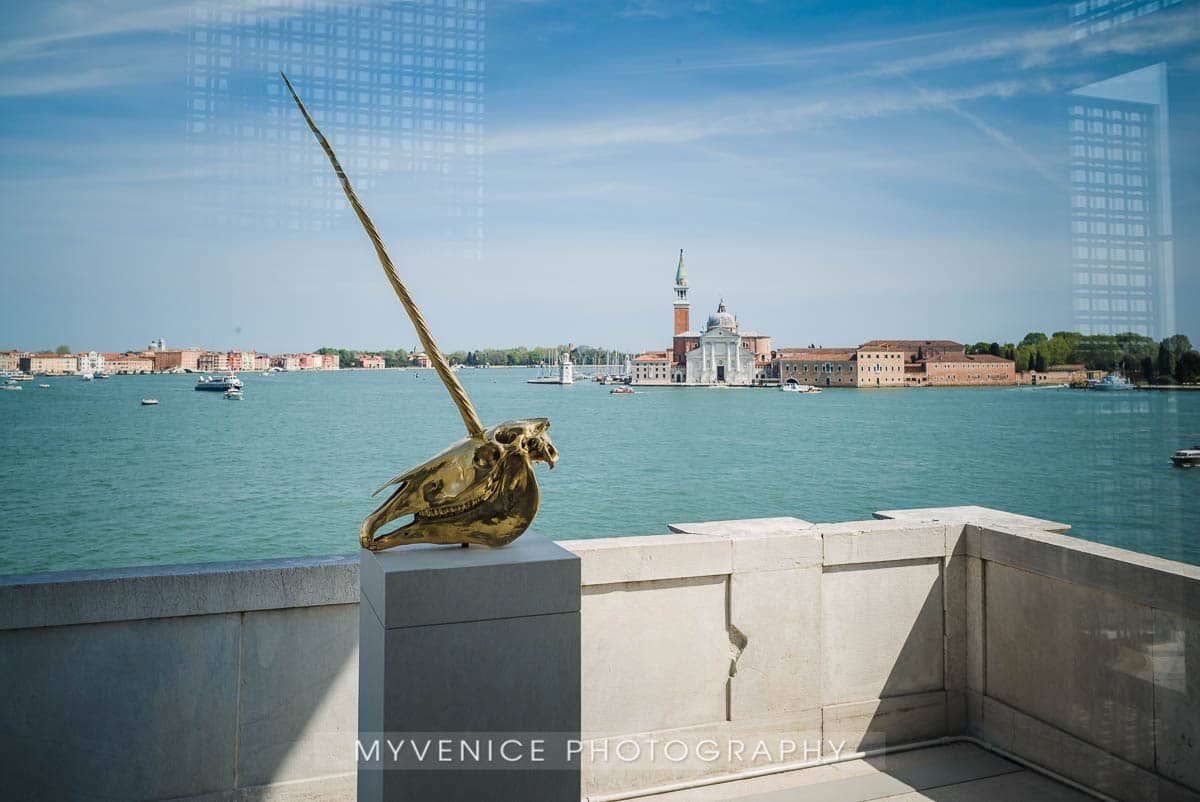 Myvenicephotography8